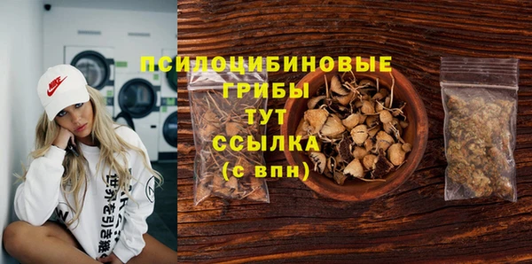 эйфоретик Липки